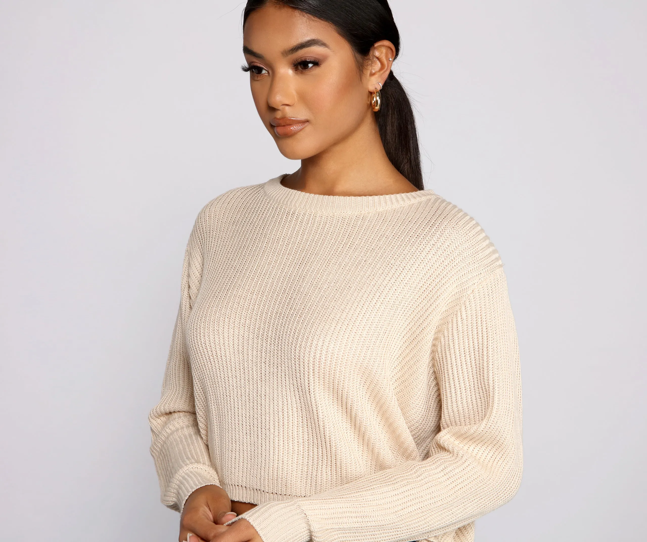 Basic Crew Neck Cropped Knit Sweater