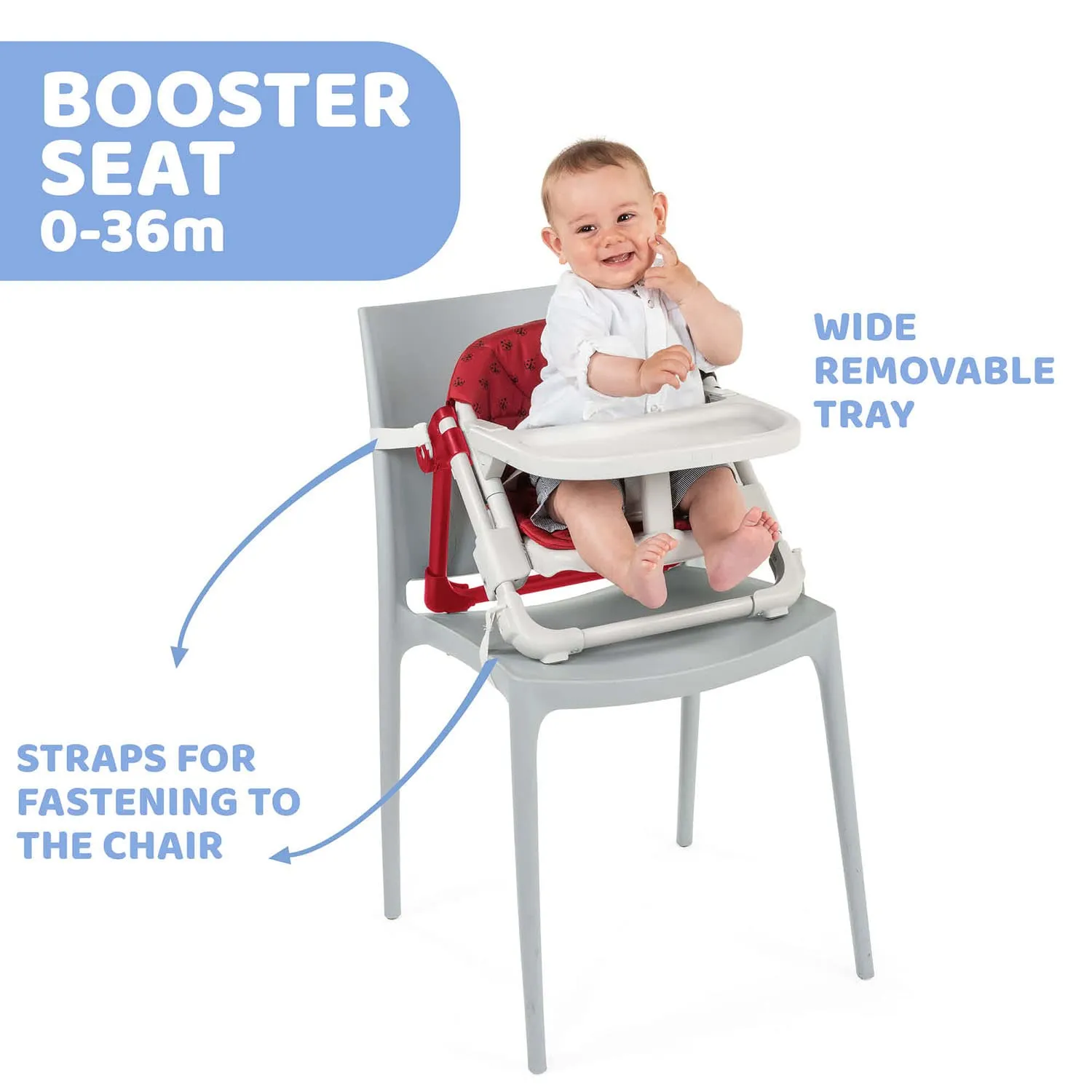 Chicco Chairy Booster Seat