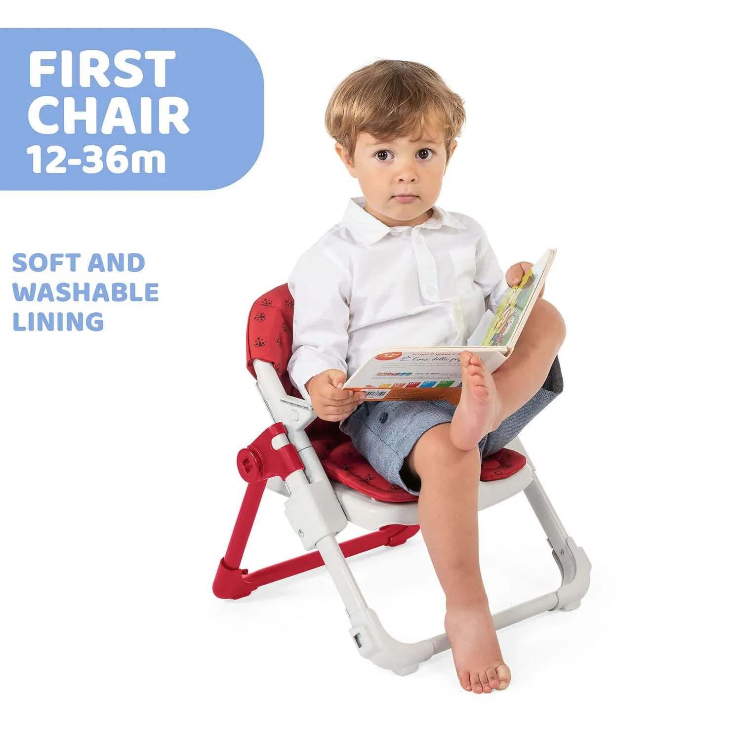 Chicco Chairy Booster Seat