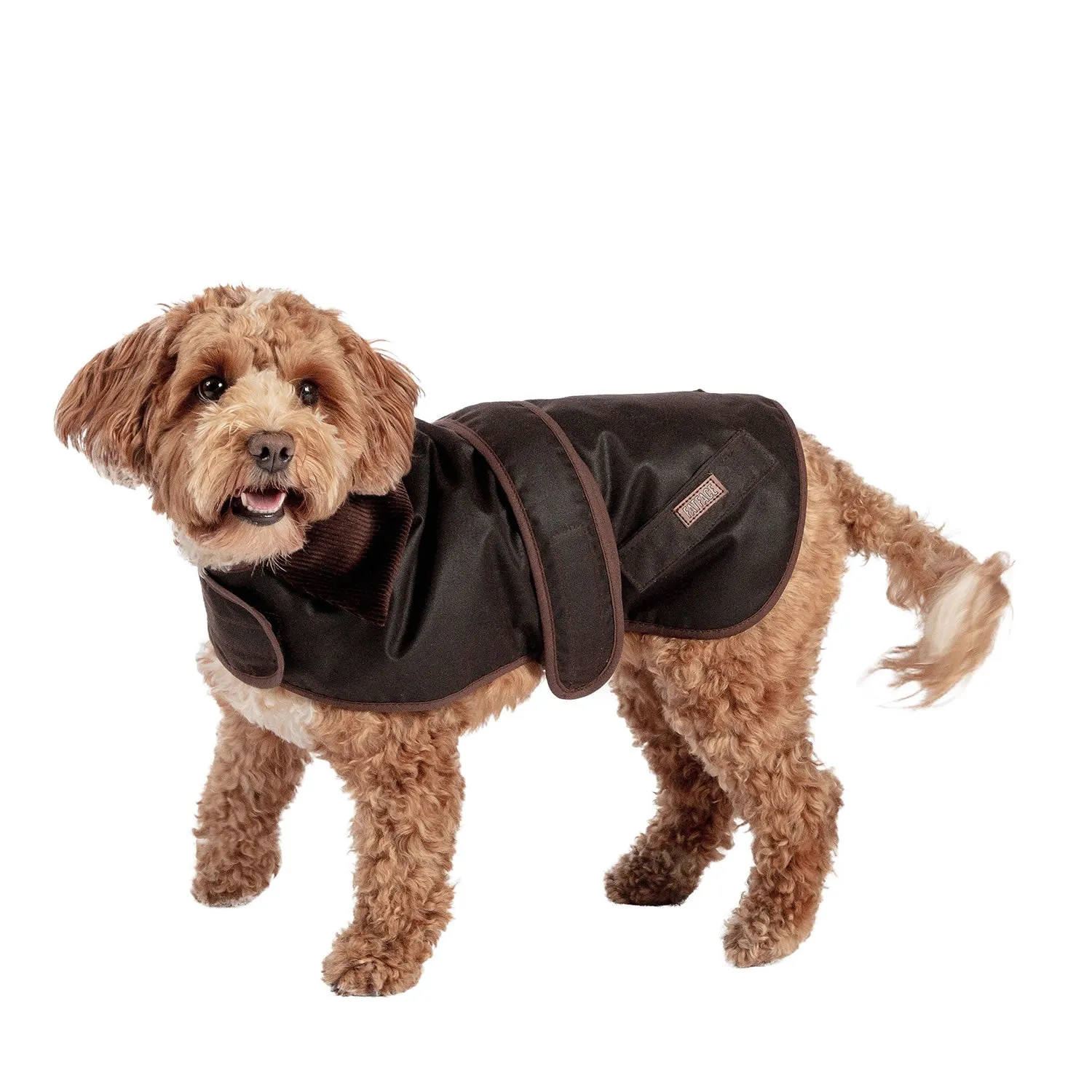 Danish Design Fatface Sussex Dog Coat