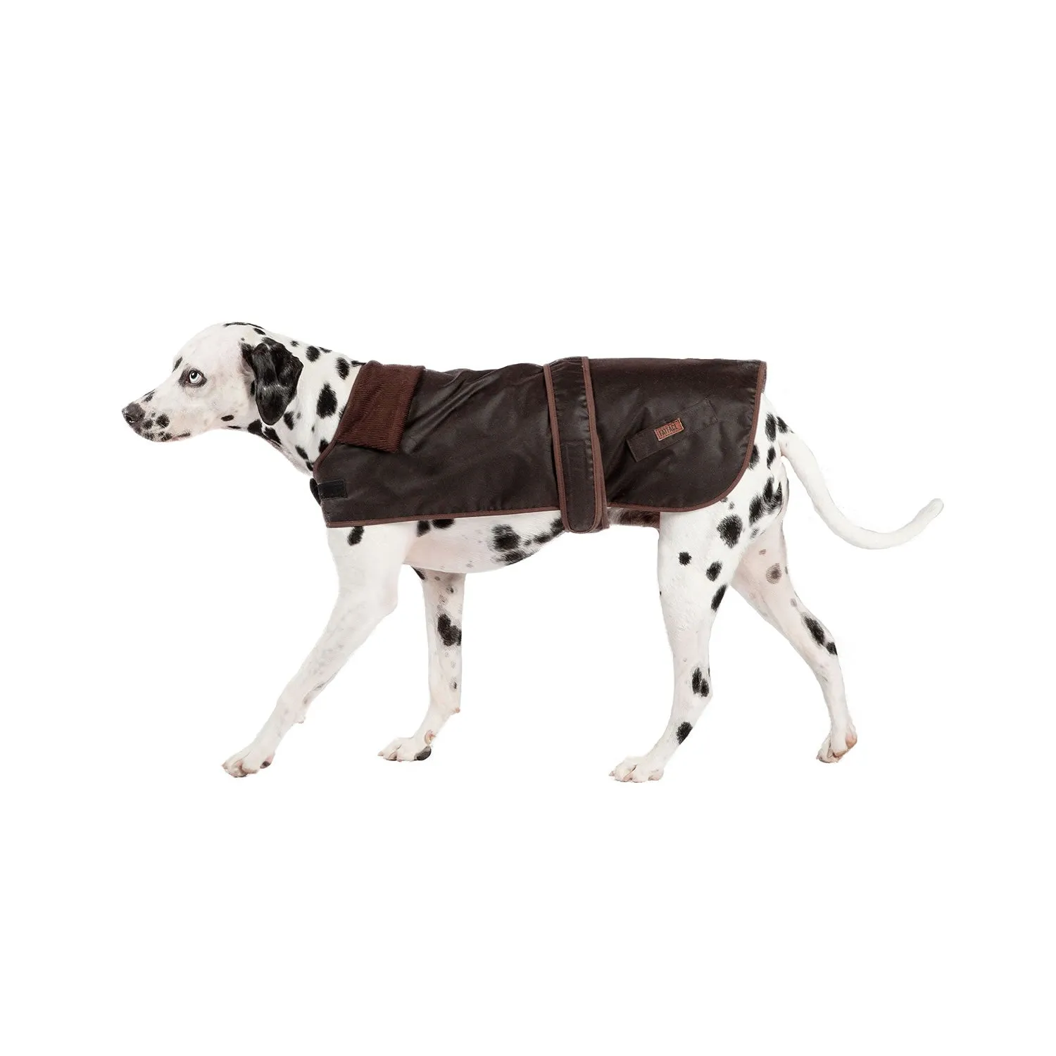 Danish Design Fatface Sussex Dog Coat