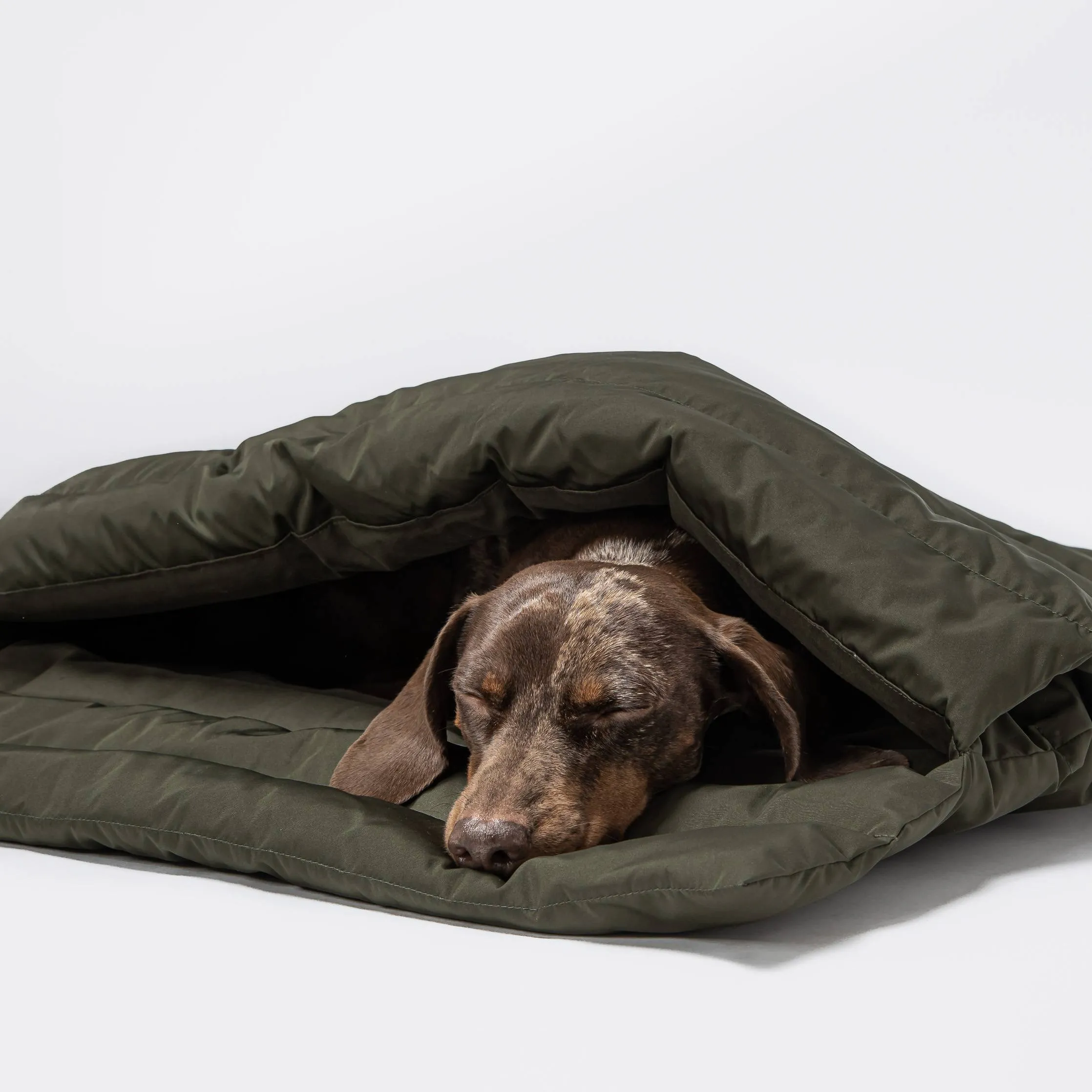 Dog Sleeping Bag Vancouver