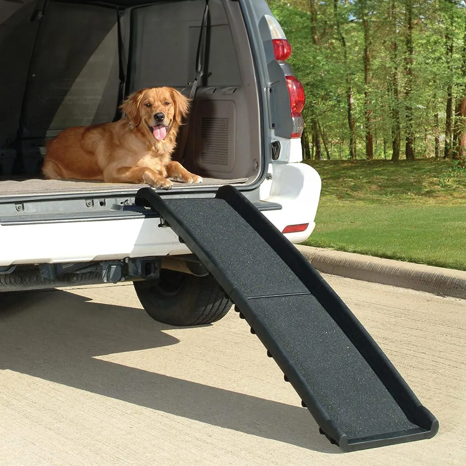 Foldable Non-Slip Dog Ramp, 80 kg Load Capacity - FLOOFI