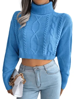 Knit Turtleneck Crop Sweater For Women