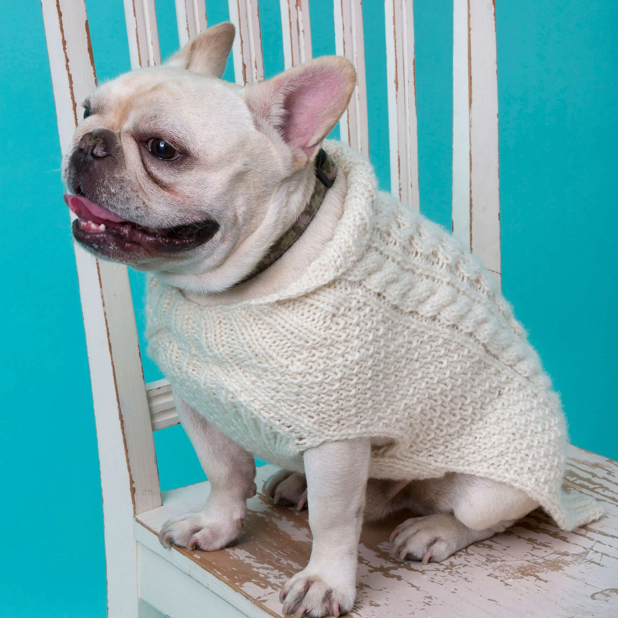 Red Heart Knit Cabled Dog Sweater